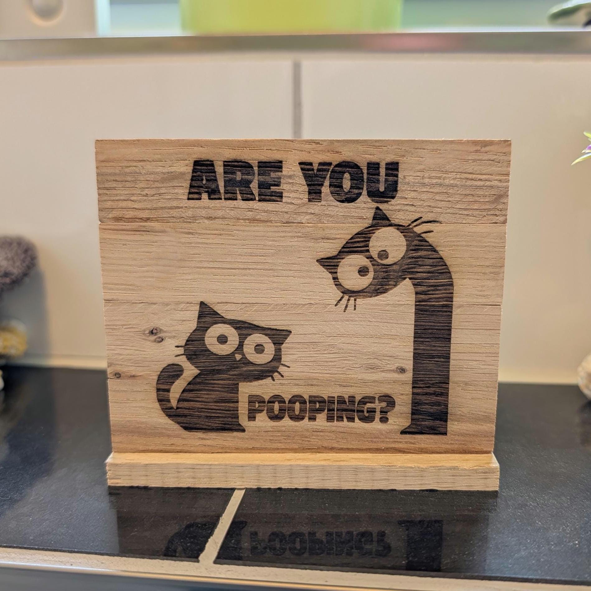 Kloschild lustig | Badezimmerdeko aus Holz "are you pooping?"