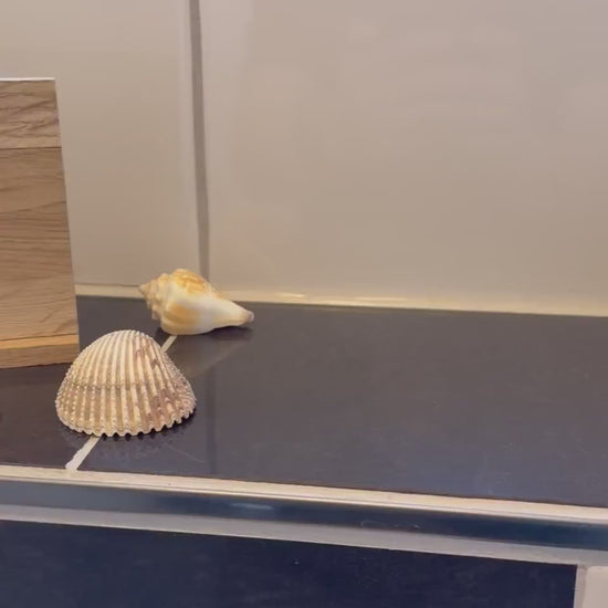 Kloschild lustig | Badezimmerdeko aus Holz "Bitte sitzen bleiben!"