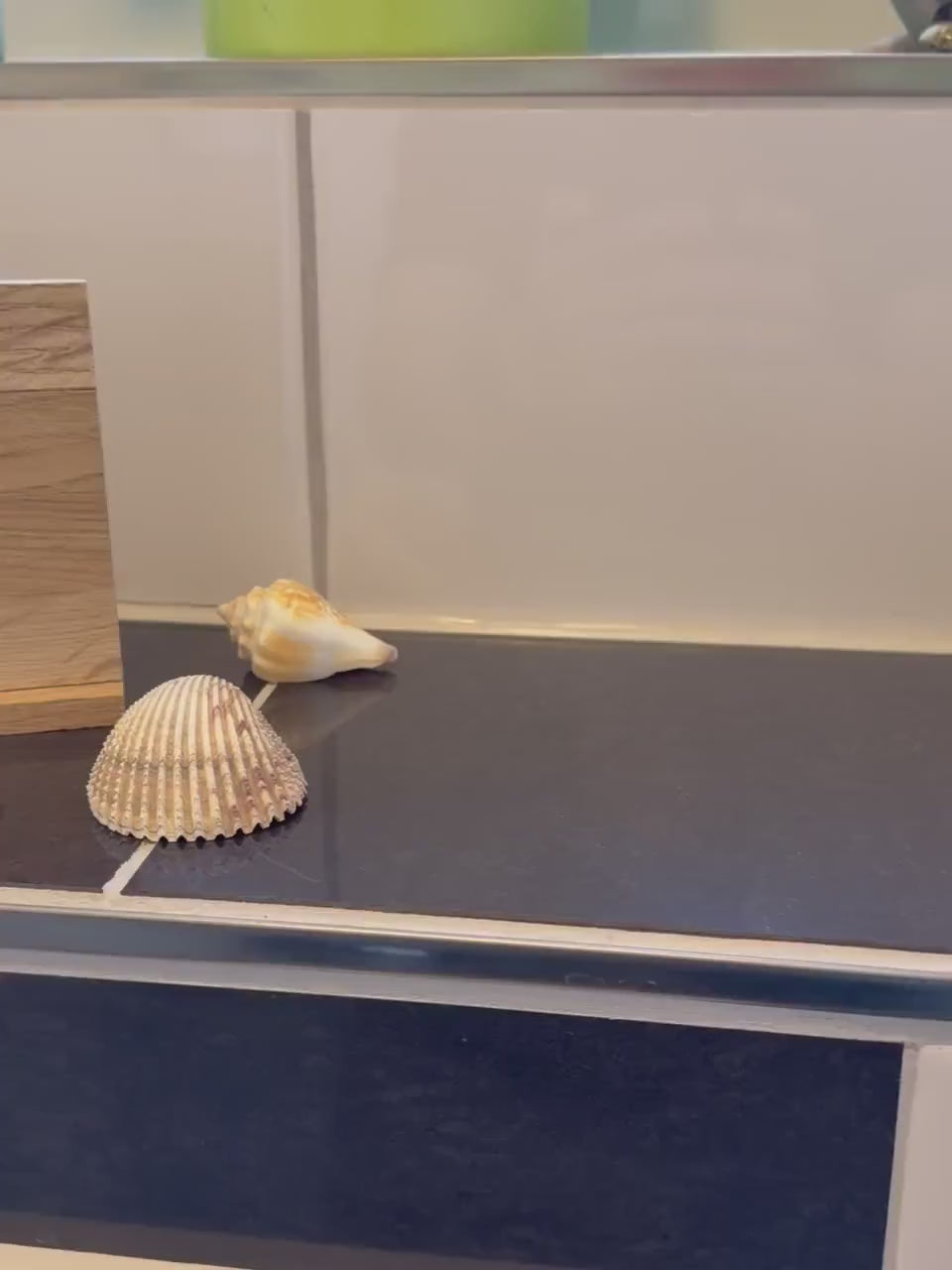 Kloschild lustig | Badezimmerdeko aus Holz "Bitte sitzen bleiben!"